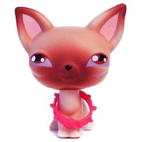 lps short-hair chihuahua with pink-ish eyes and a pink spiked collar